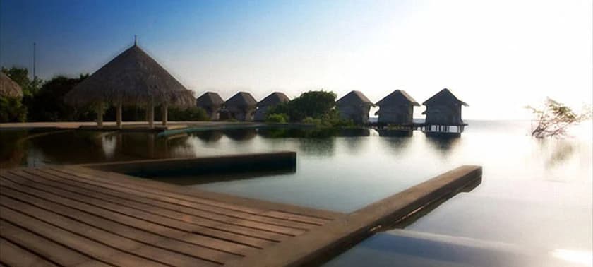 J Resort Alidhoo - photo 9