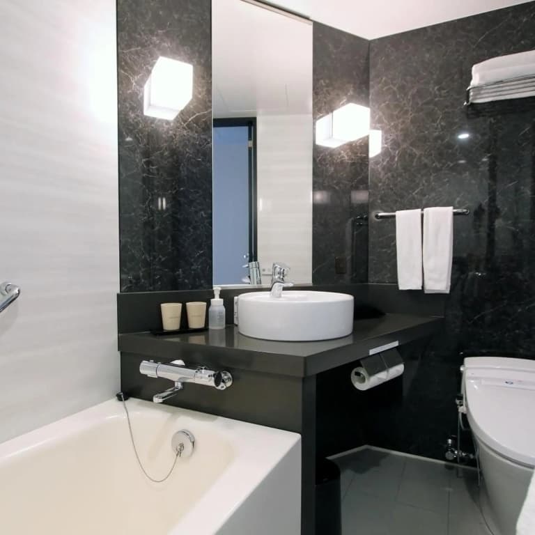Koko Premier Nihonbashi Hamacho Hotel - photo 39