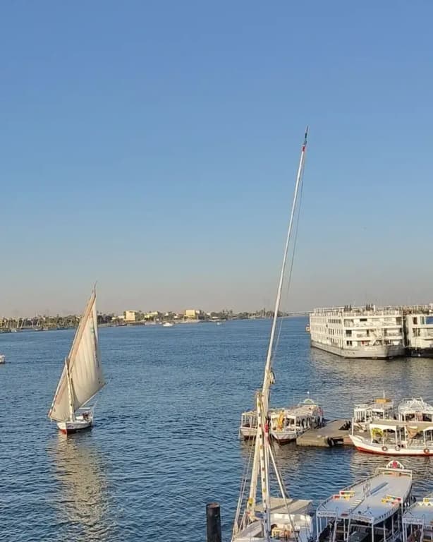 Nile Bride - photo 21