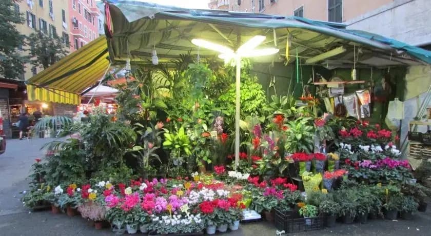 Casa Regina Holidays - photo 7