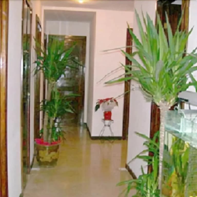 B&B Nemo - photo 10