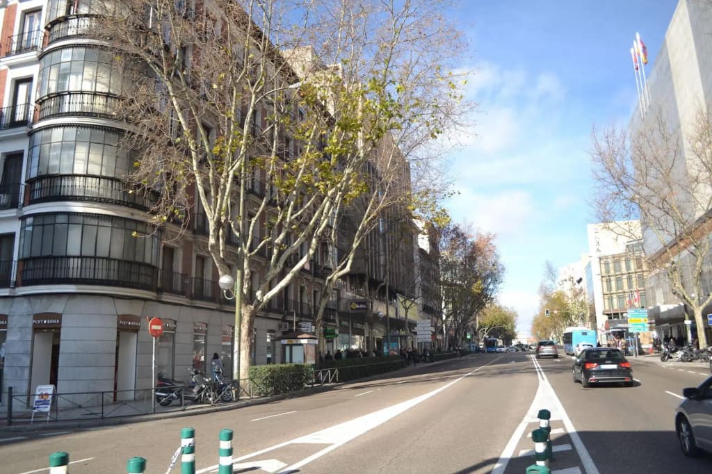 Overnight Madrid - photo 16