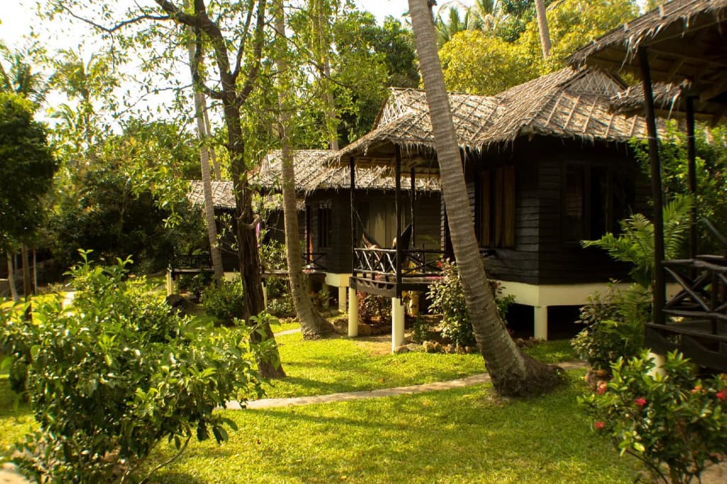 Shiralea Island Resort - photo 24