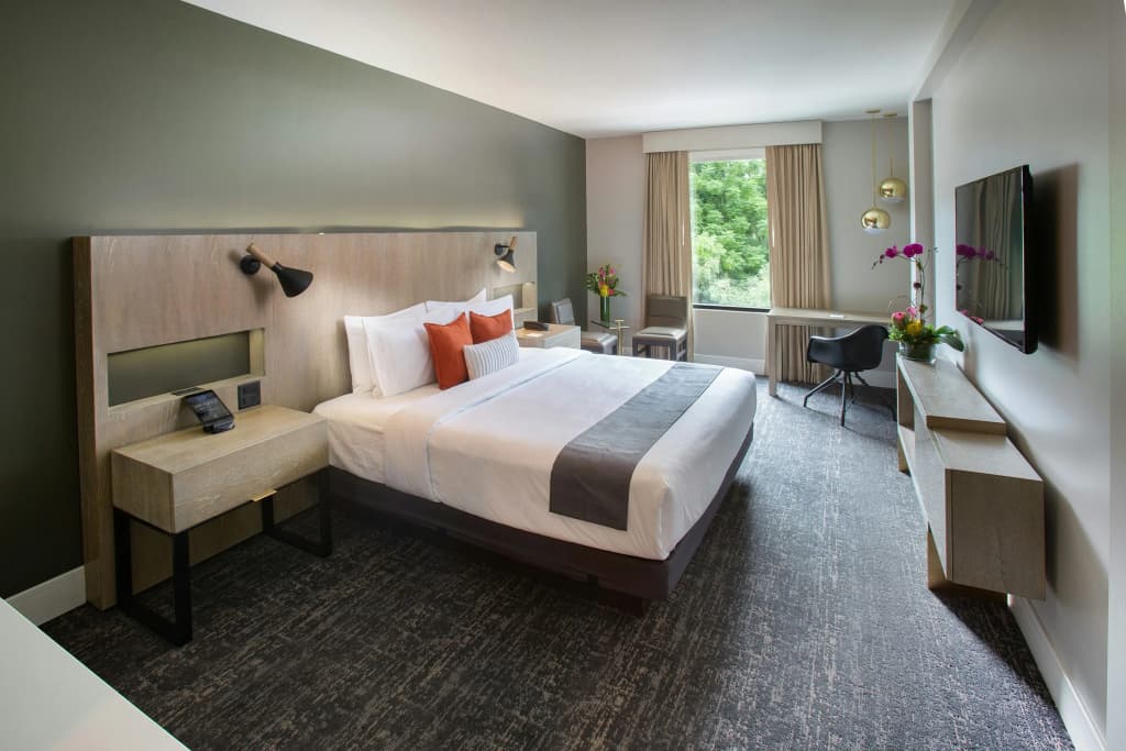 The Delaney Hotel - photo 6