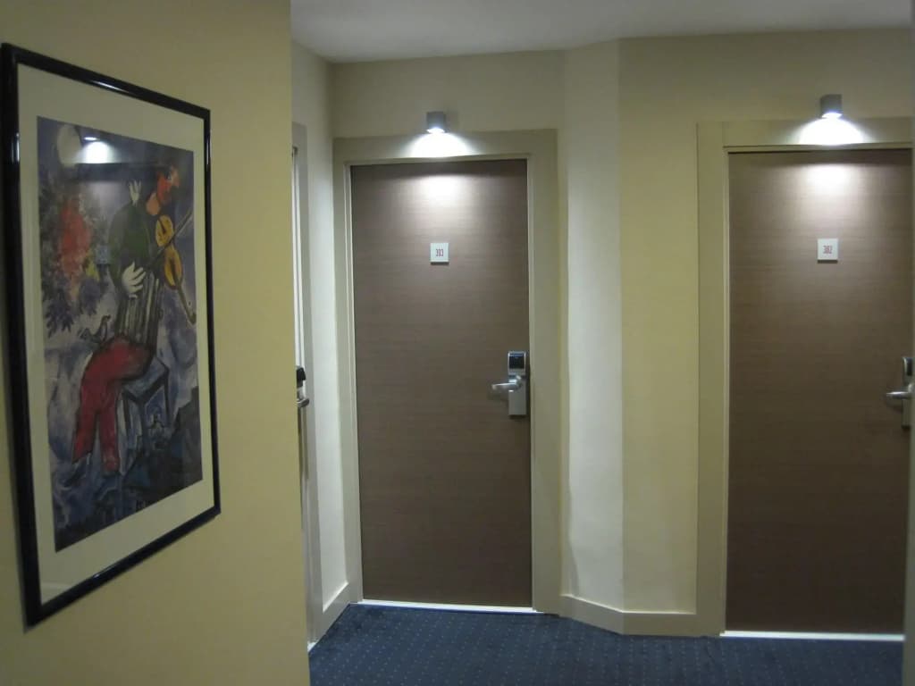 Hotel Carlton Nice - photo 16