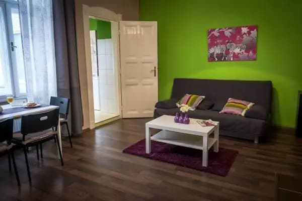 Large Central Apartment Fehérhajó - photo 3