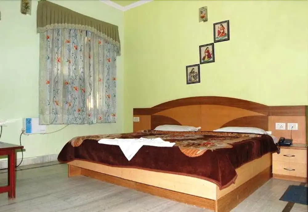 Ambica Deluxe Hotel - photo 5