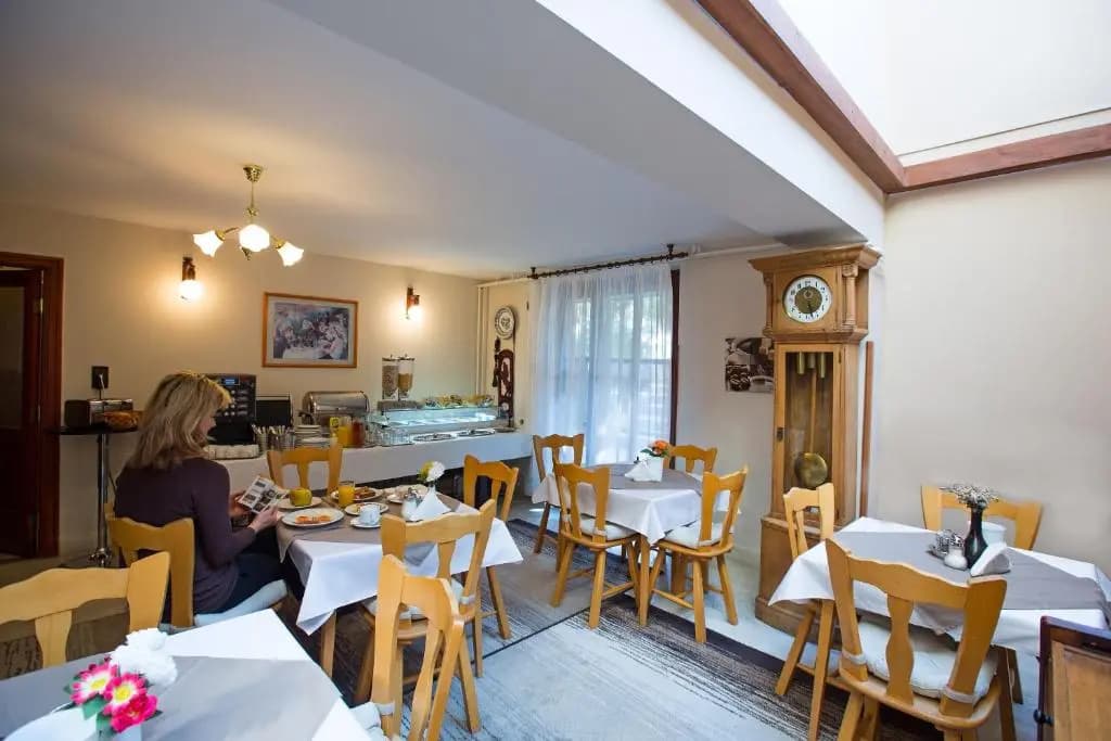 Helios Hotel Pension - photo 34
