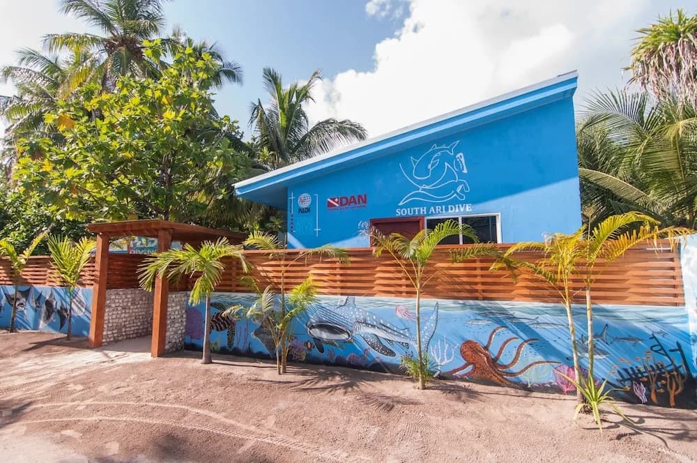 South Ari Dive Center - photo 23