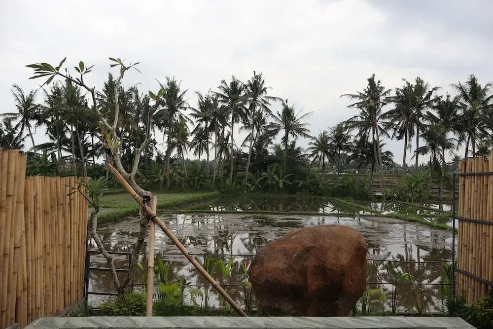 Kose Villa Ubud - photo 2