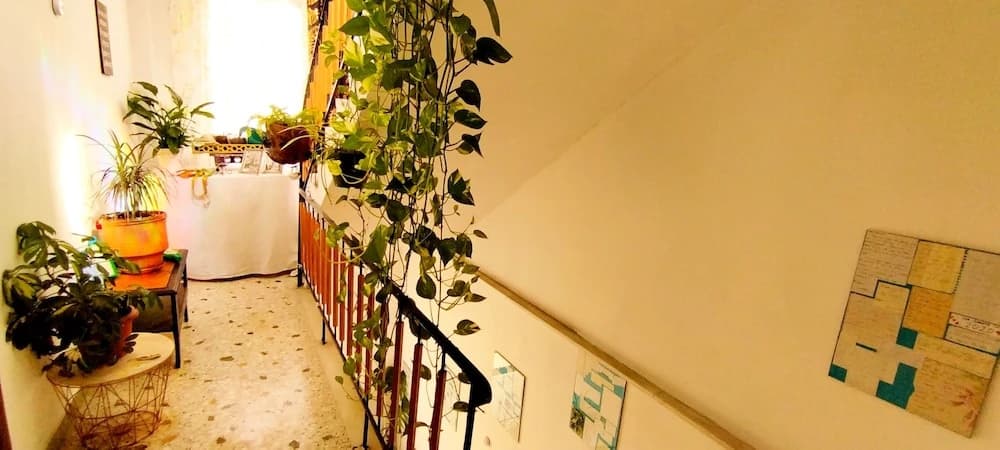 Athens all seasons - photo 15