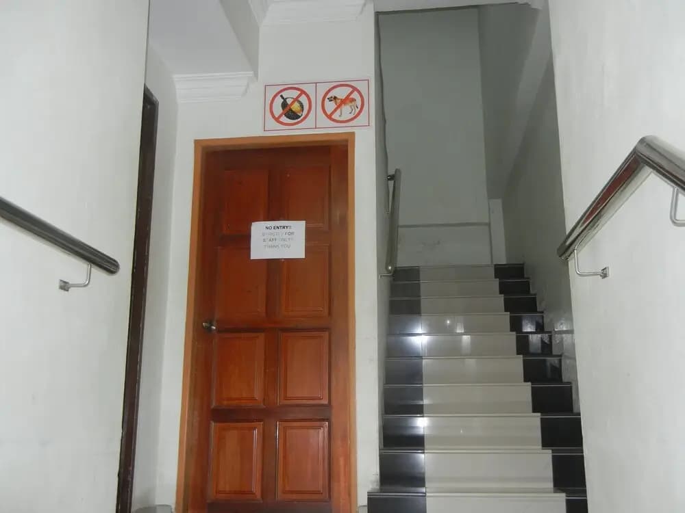 Borneo Hotel - photo 11