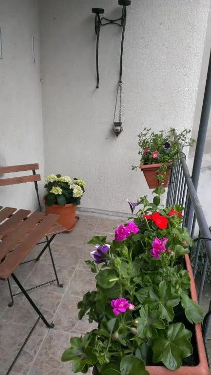 Casa Vienna - photo 9