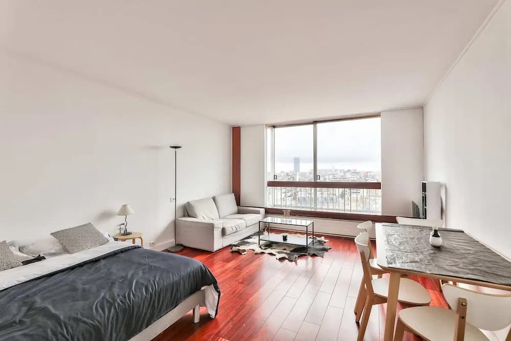 Nice Studio in the 15th Arr - main photo