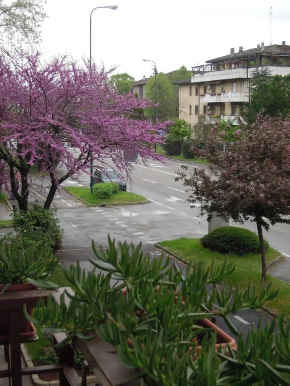 Appartamento Fiorita - photo 14