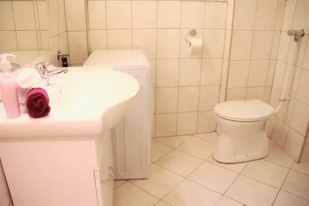 Duna Szecsi Apartmant - photo 8