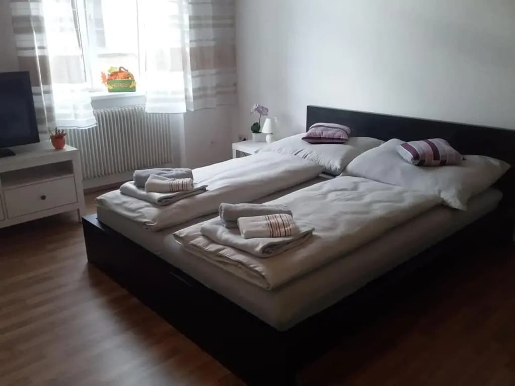 Apartment Alser - photo 6
