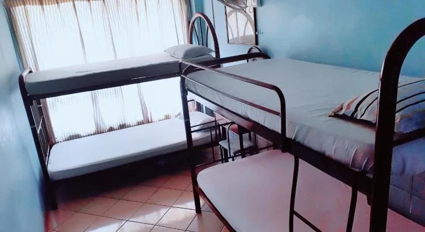 Rose GuestHouse - photo 15