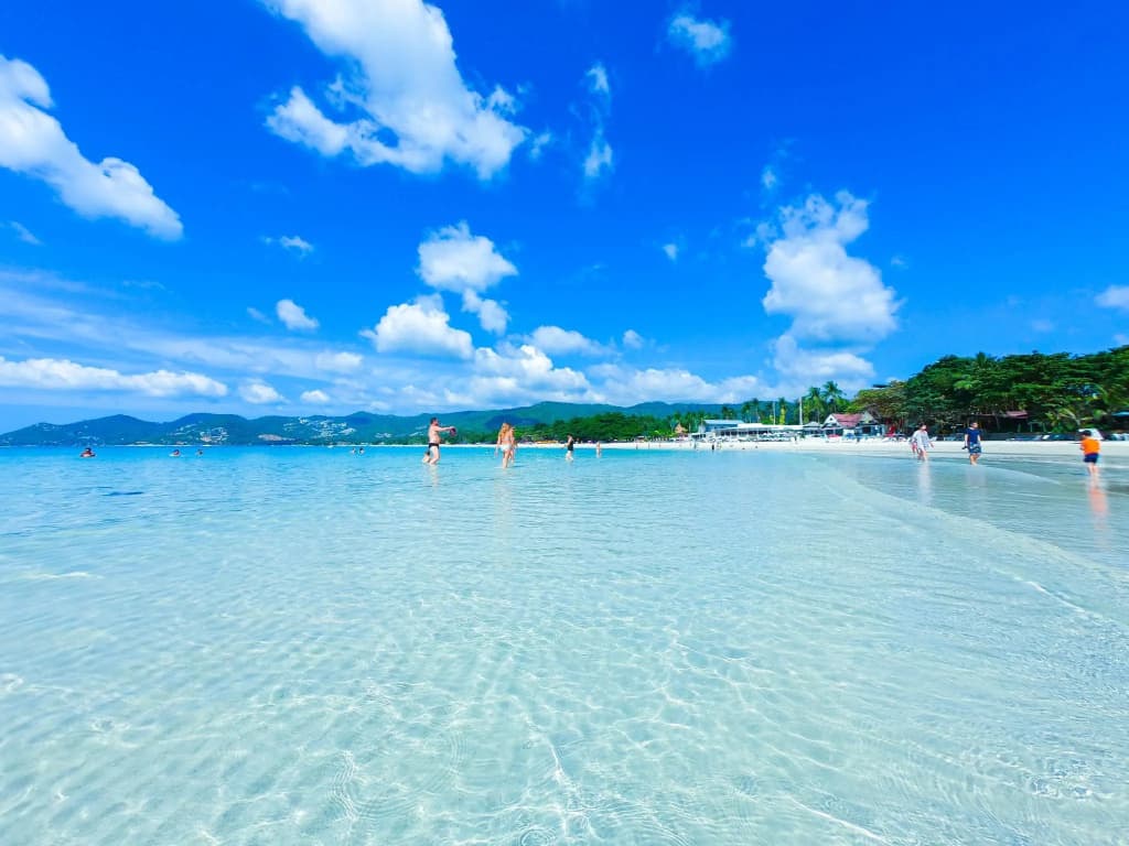 Chaweng Garden Beach Resort - photo 20