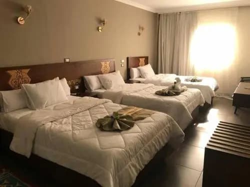 Town hotel - photo 3