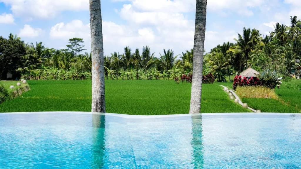 MATHIS Retreat Ubud - photo 44