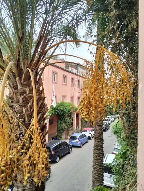 Riad Green Lotus - photo 14