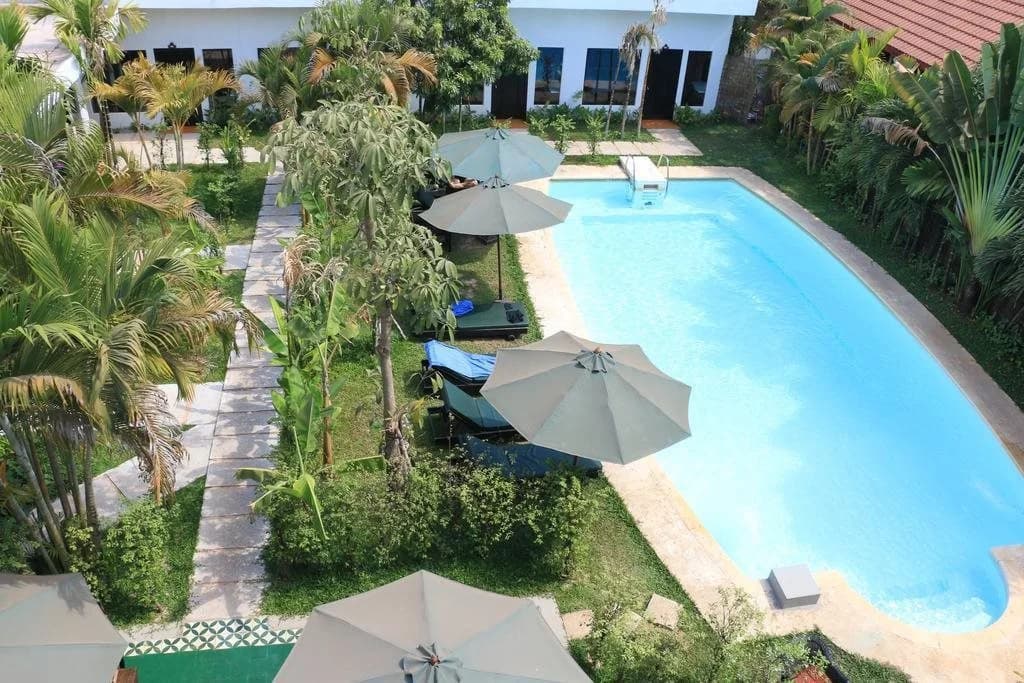 Antique Palm Hotel - photo 10