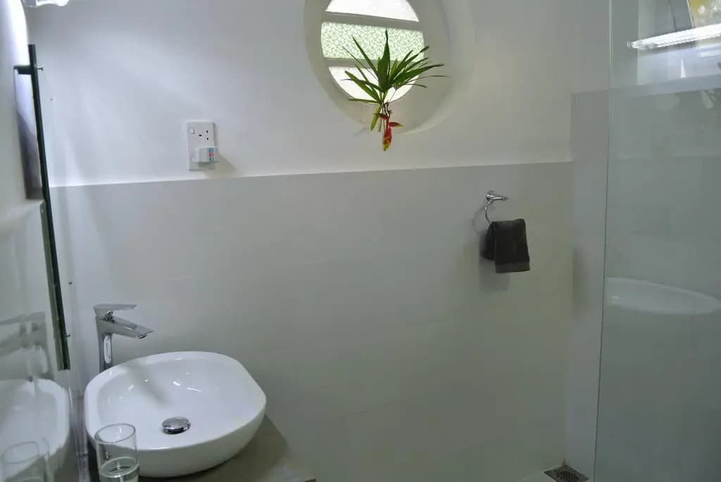 "27" Spathodea- Oasis in the City - photo 6