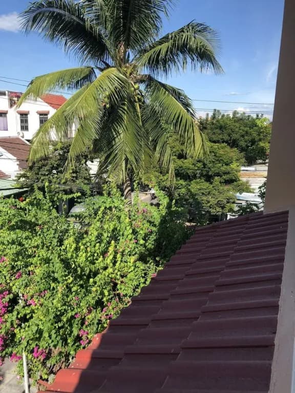 Three Palms Homestay - photo 28