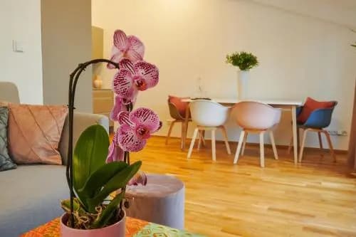 Residence Rybna 9- Old Town - photo 13