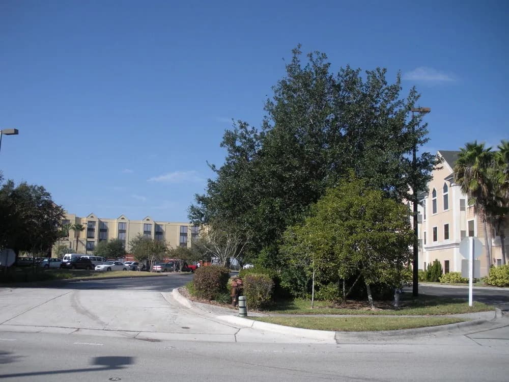 Ramada Suites Orlando Aiport - photo 26