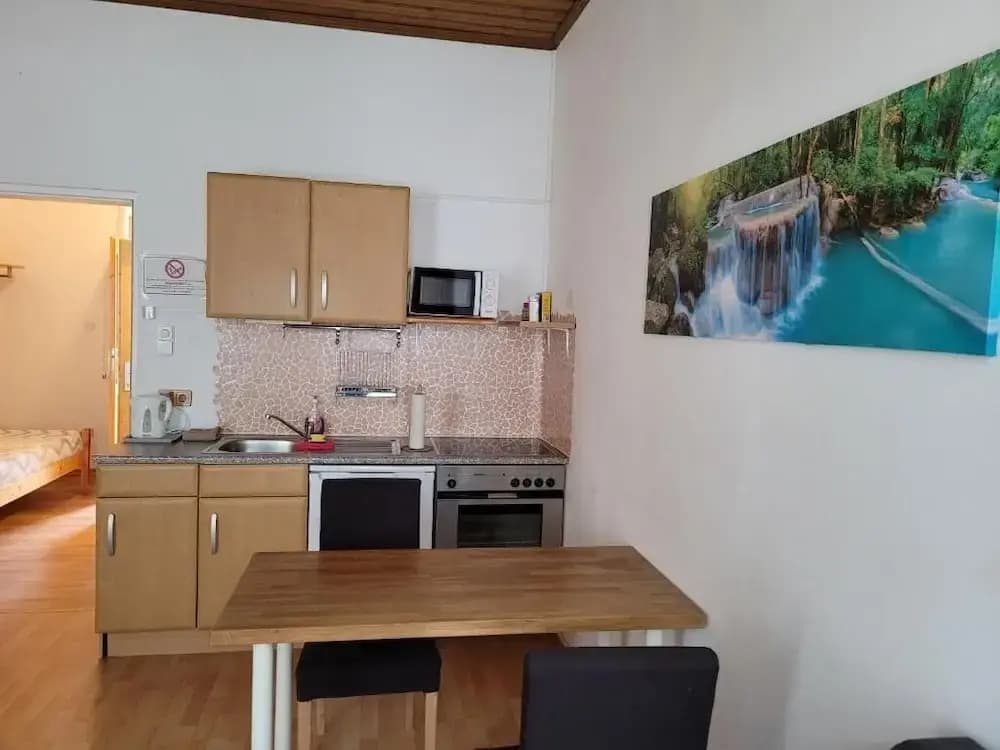 leopoldauer apartment - photo 10