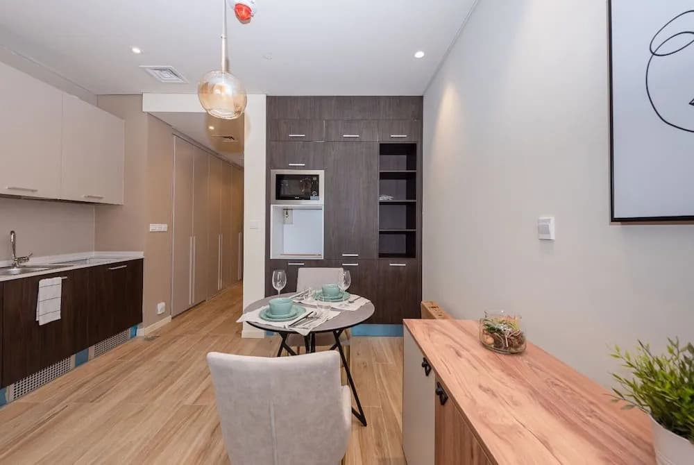 Park View Spacious Studio Dubai - photo 13