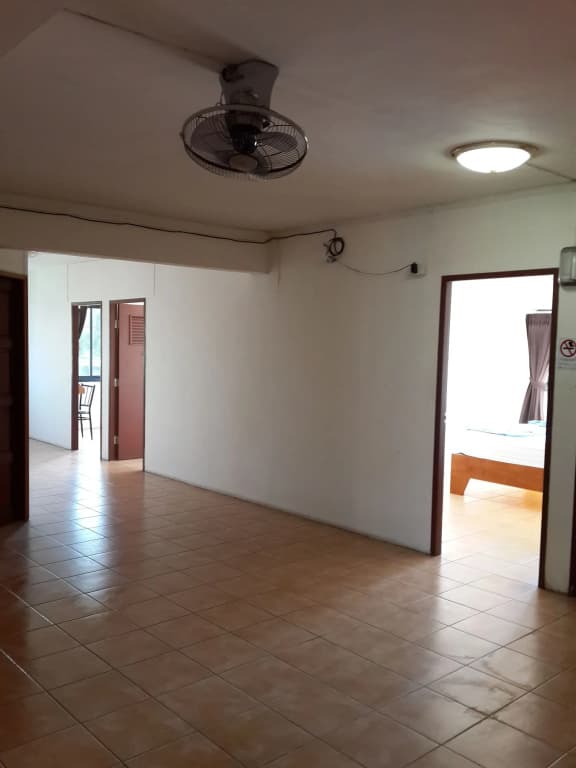 Coffee Island - Hostel - photo 9