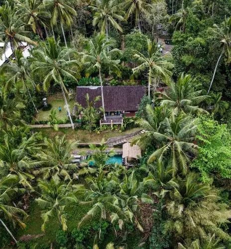 The Desa Ubud Villa - photo 20
