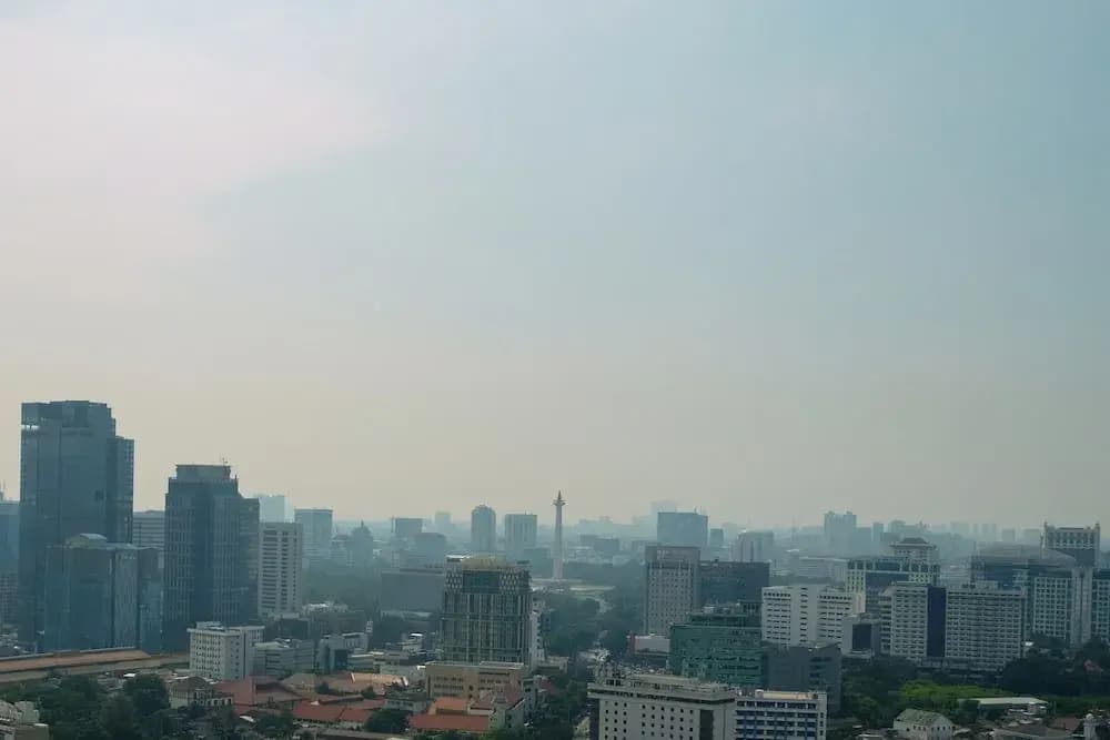 Cozy Studio Menteng Park Apartment - photo 15