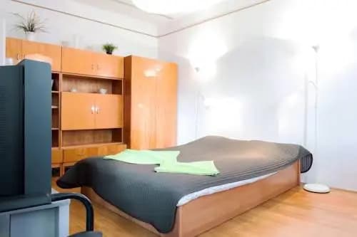Green Belt Apartment - photo 4
