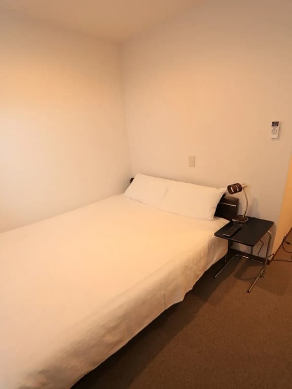 Hotel Green - photo 7
