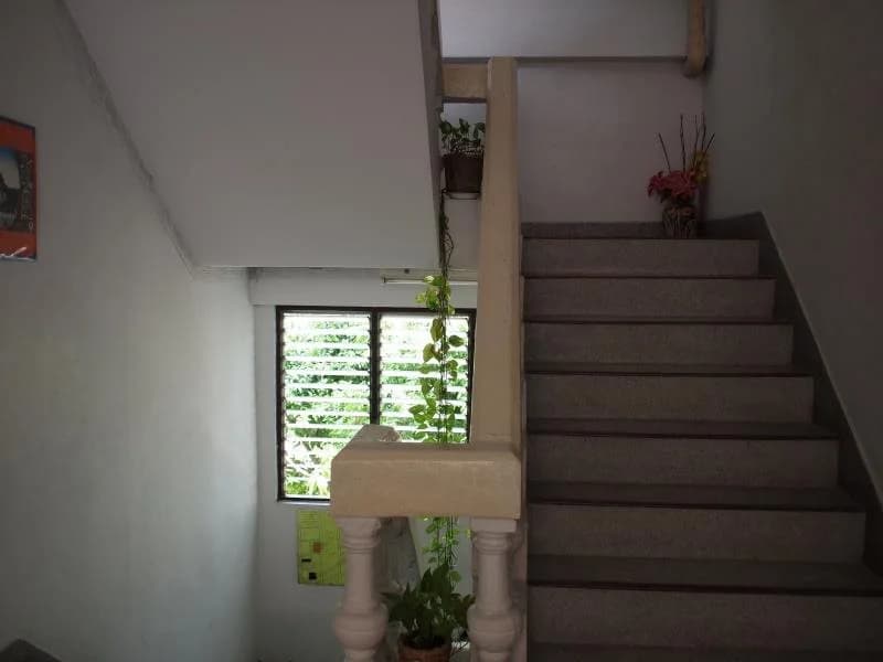 Good Will Guesthouse - photo 12