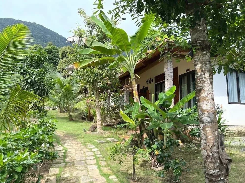 Freedom Jungle Resort - photo 13