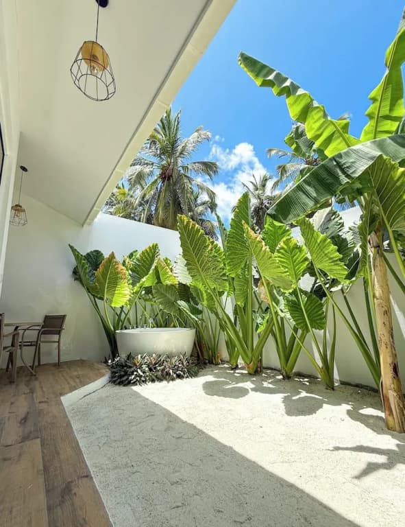 Tropicana Villas - Thoddoo - photo 18