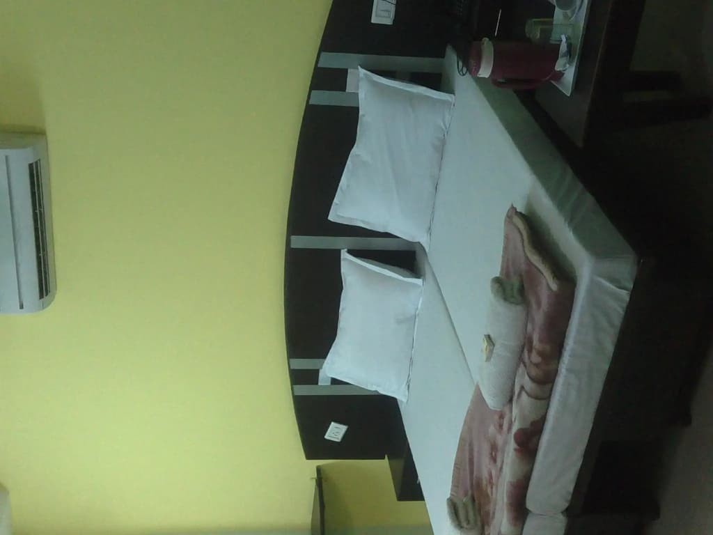 Hotel Surya Plaza - photo 4
