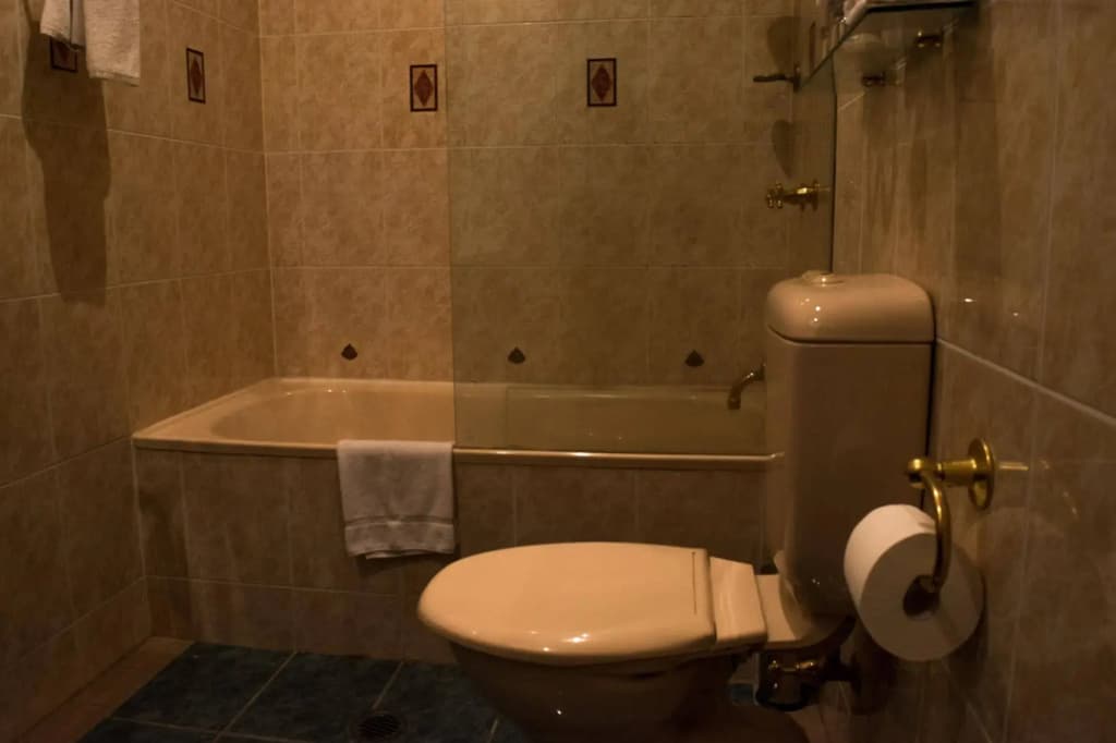 Manor Boutique Hotel - photo 8