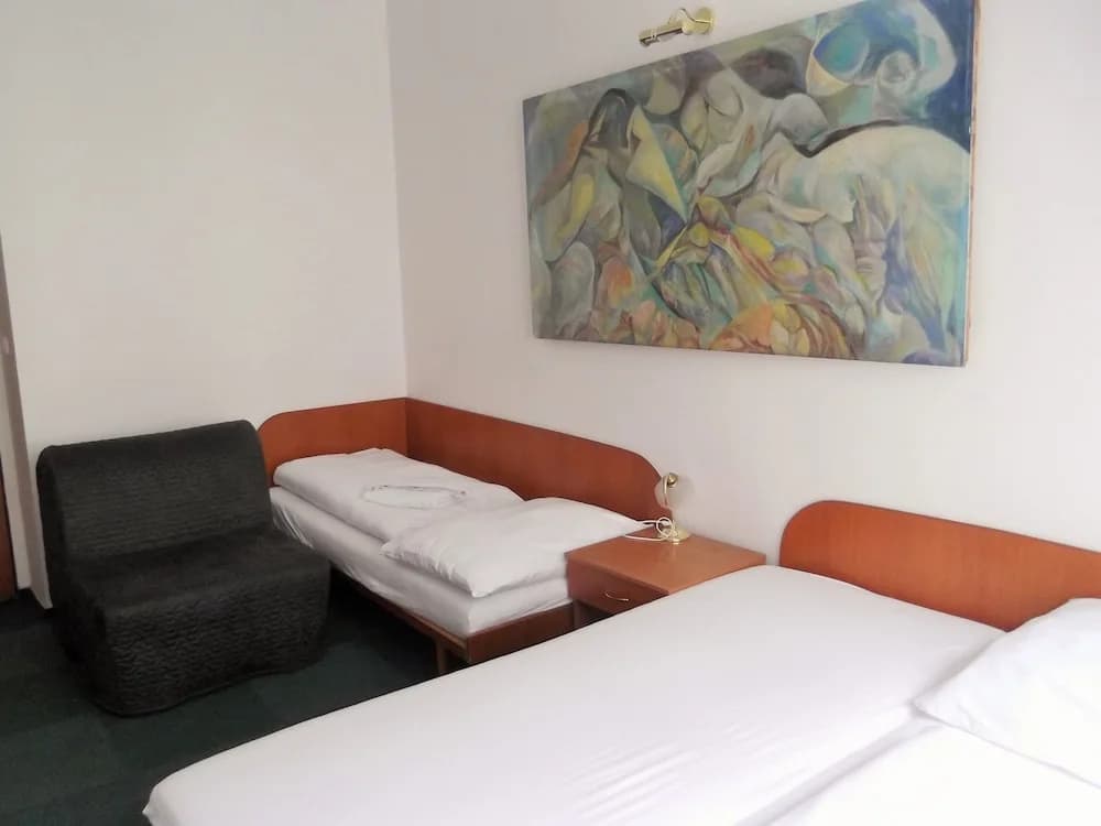 Elen's Hotel Arlington Prague - photo 5