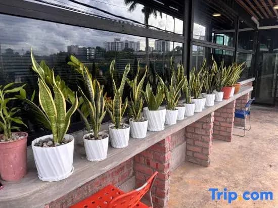 travellersloft 168 - photo 2