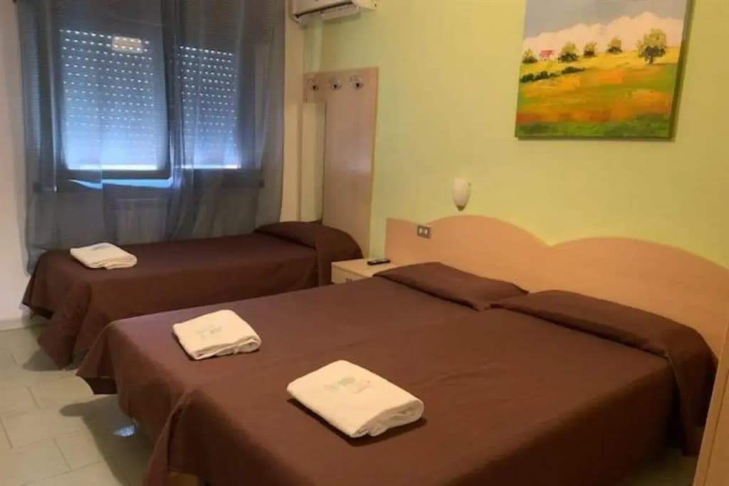 Hotel Ambrosiana - photo 10