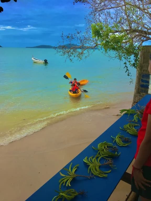 Sea Safari - photo 36