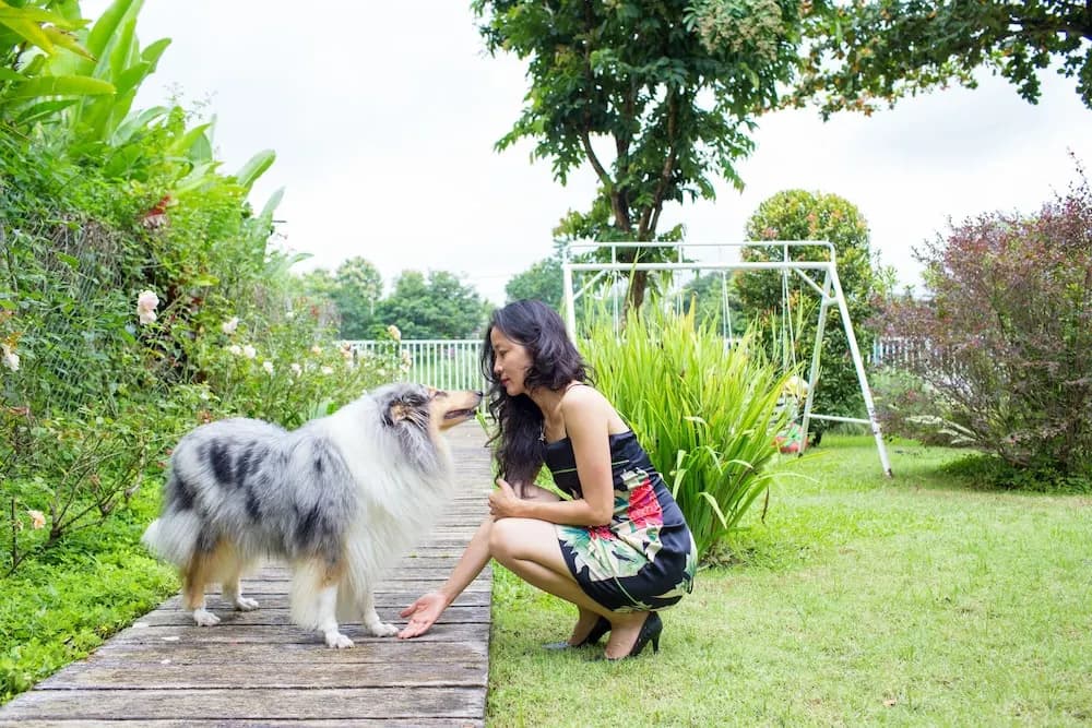 Sannot Riverside Garden Resort ChiangMai - photo 20