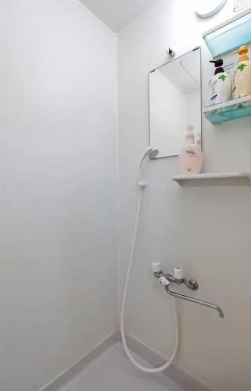Guesthouse Sayuri Honkan - photo 10