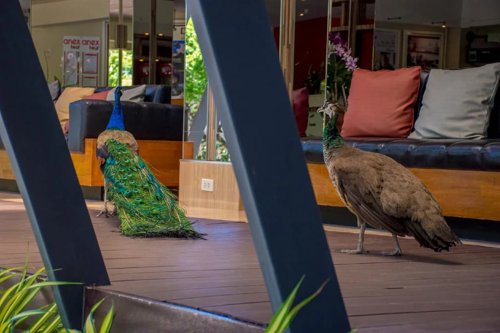 Natural Park Resort - photo 24